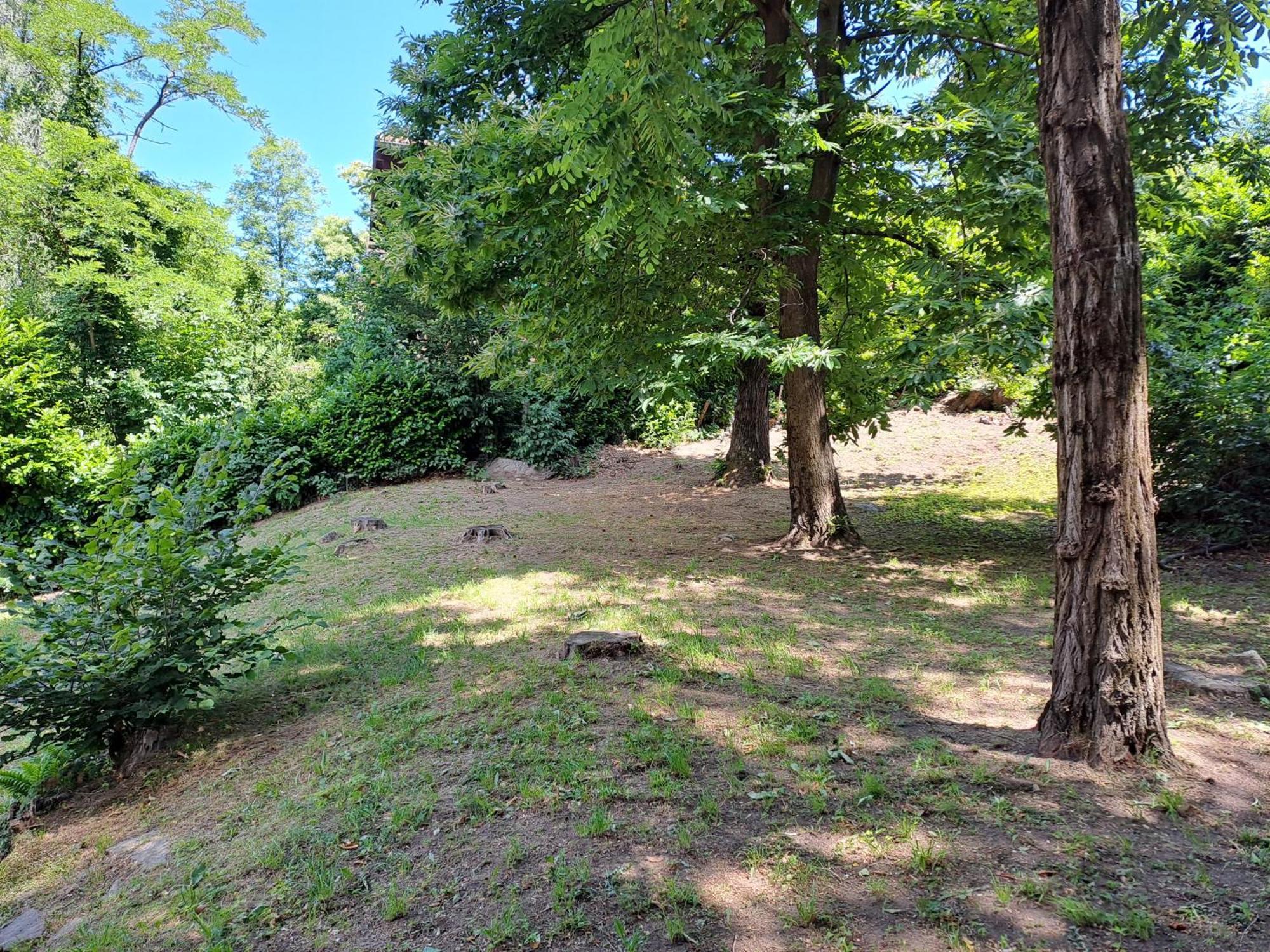 Villetta Singola Con Giardino Cottage Ghisallo Zona Bellagio Magreglio Zewnętrze zdjęcie